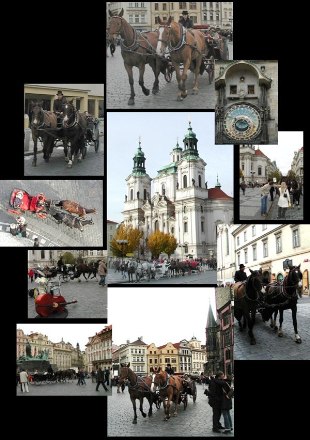41.Увлекательная поездка в открытой карете запряженной лошадьми по улицам Праги. 